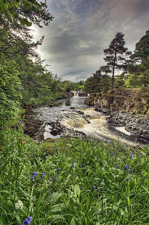 Low Force #1
