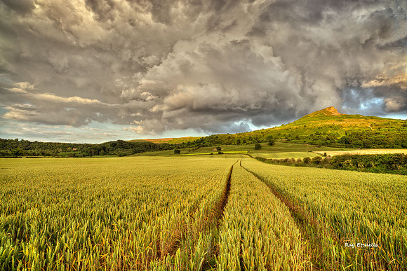 Roseberry Topping 07/07/14 No# 4