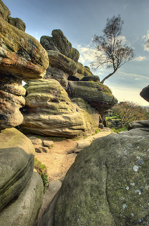 Brimham Rocks.
