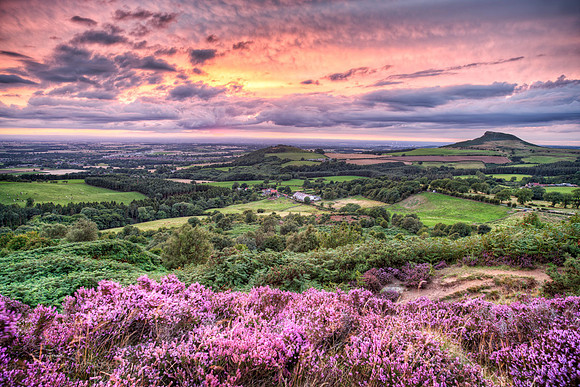 Roseberry Topping from Gribdale Gate