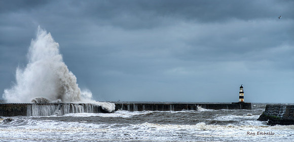 Seaham Storm