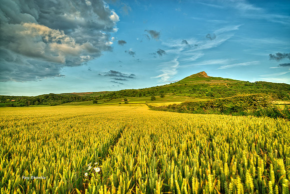 Roseberry Topping 07/07/14 No# 5