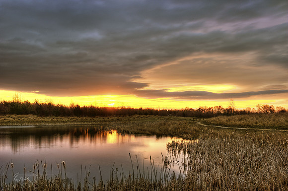 Oakenshaw Nature Reserve