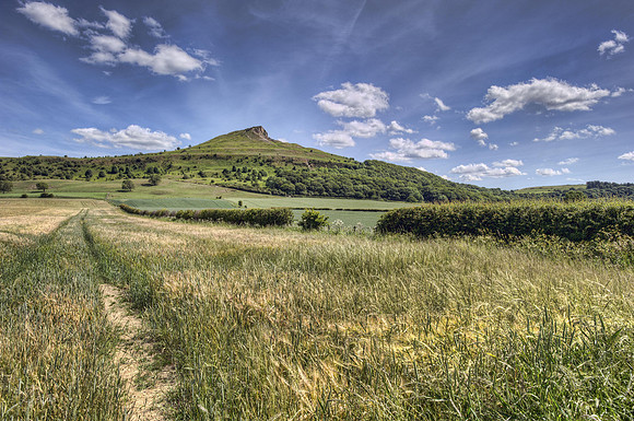 Towards Roseberry Topping. No #1