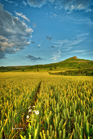 Roseberry Topping 07/07/14 No# 6
