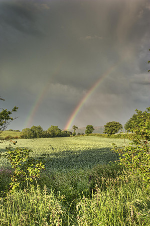 Sun and Rain