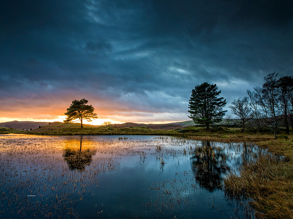 Kelly Hall Tarn Blue Hour Lake District 03/01/2020