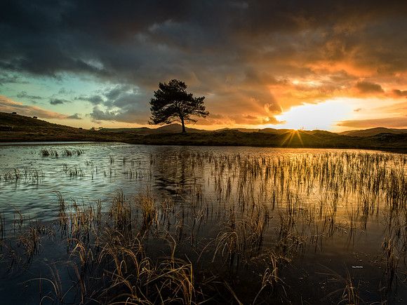Kelly Hall Tarn Sunset Lake District 03/01/2020