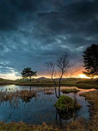 Kelly Hall Tarn Blue Hour Lake District 03/01/2020