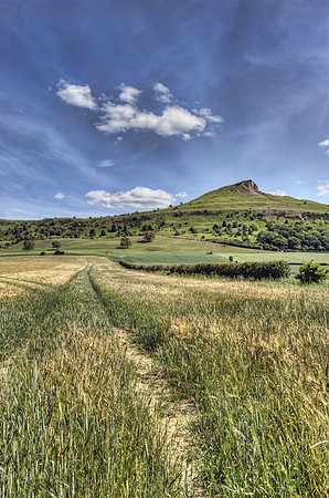 Towards Roseberry Topping. No. #2