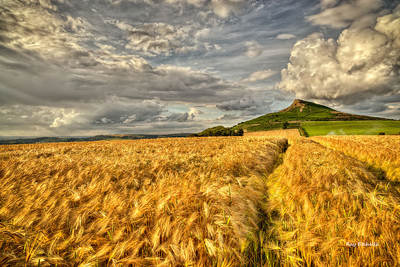 Roseberry Topping 07/07/14 No# 2