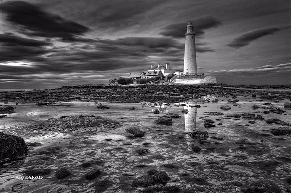 St Marys Lighthouse Black and White No#3