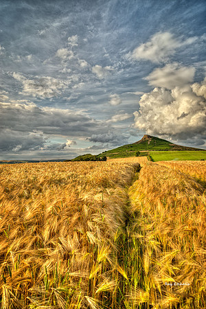 Roseberry Topping 07/07/14 No# 3