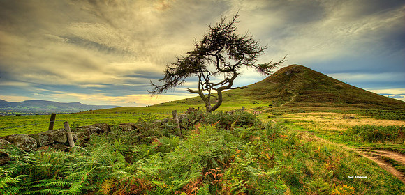 Roseberry Topping from the East