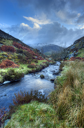 Burn near Corrymuckloch, Perthshire. No# 2
