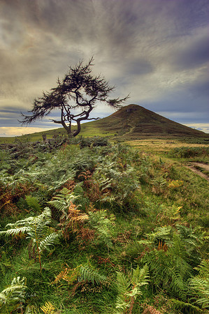 Roseberry Topping from the East no# 1
