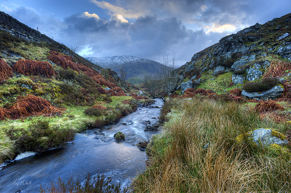 Burn near Corrymuckloch, Perthshire. No# 1