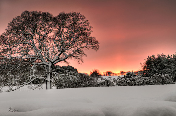 Winter sunset, Durham, UK.