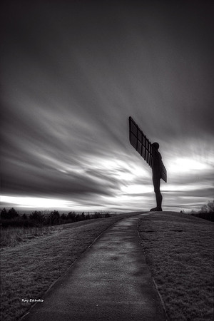 Angel Black and white (P)