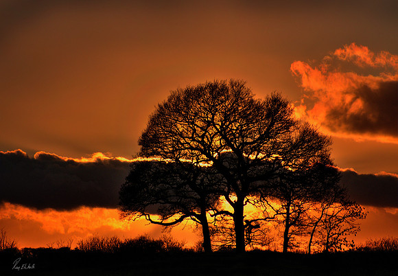 Middleton-St-George Sunset, Durham, UK